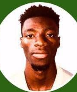 Aperçu CV BEDIA ROLAND TANGUY 