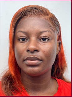 Aperçu CV SONIA ANGE KOKOLA