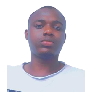 Aperçu CV SEYNOU ALLASSANE 