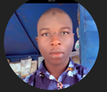 Aperçu CV ADETUNDJI DJIBRIL ADELEKE AKANI 