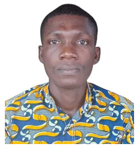 Aperçu CV NIAHOUA FELIX JUNIOR